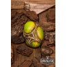 Eldritch Egg