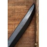 Shadow Blade