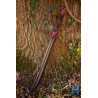 Shadow Elven Hunter Blade
