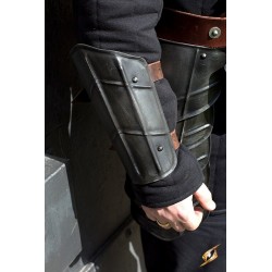 Arm Protection Drake