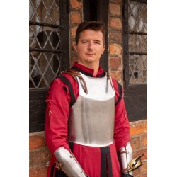 Male Renegade Cuirass