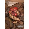 Eldritch Spawn